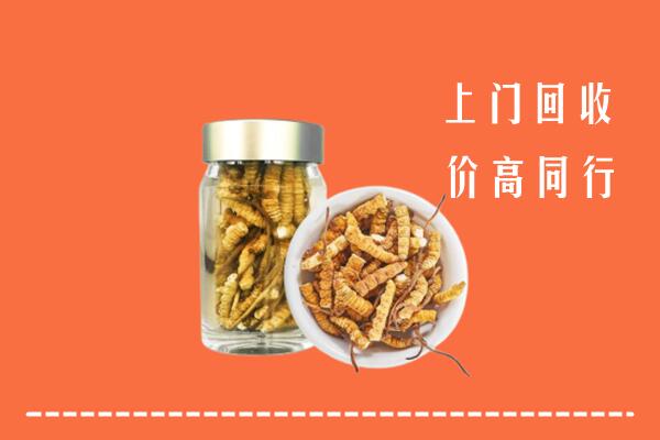 广安市华蓥市回收冬虫夏草
